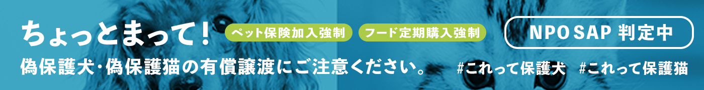 ちょっとまって!偽保護犬・偽保護猫の有償譲渡にご注意ください。